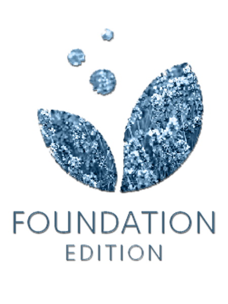 Foundation Edition